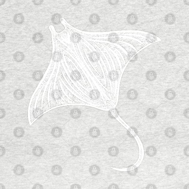 Manta Ray detailed drawing for sea animal lovers by Green Paladin